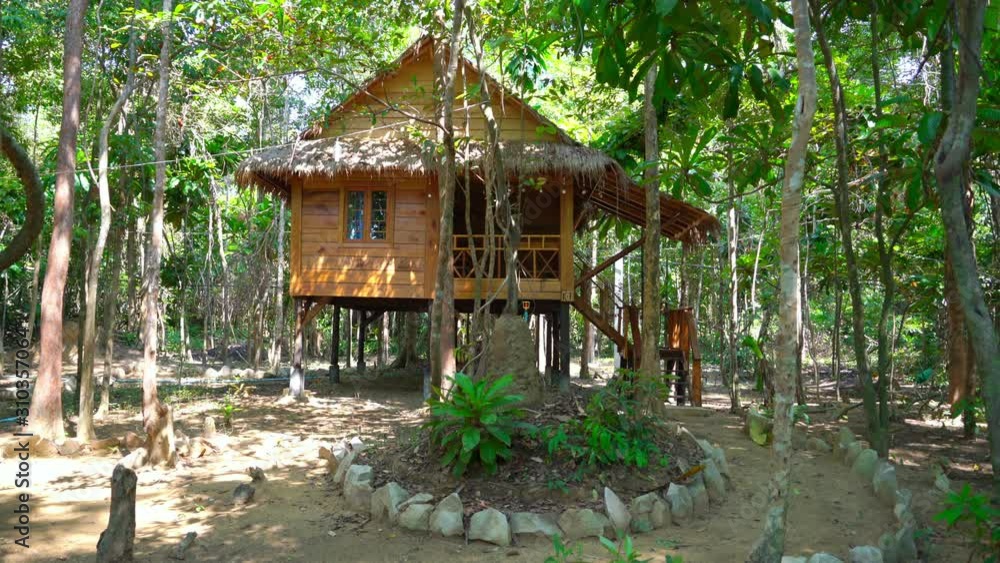 Empty Bungalow in Rain Forest on Sunny Day