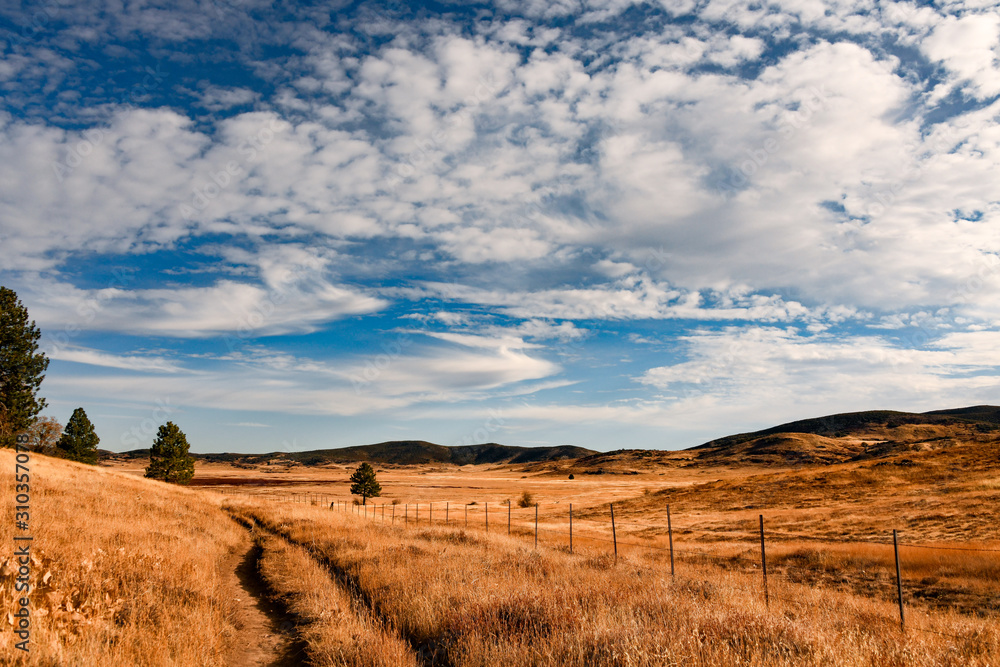 The Meadow in Autumn