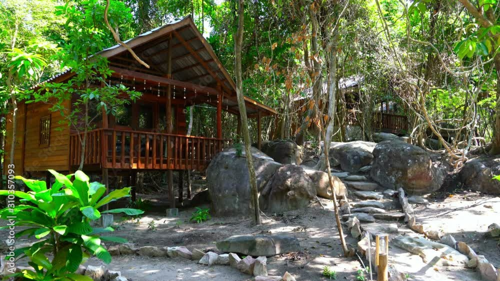 Empty Bungalow in Rain Forest on Sunny Day Empty Bungalow in Rain Forest on Sunny Day