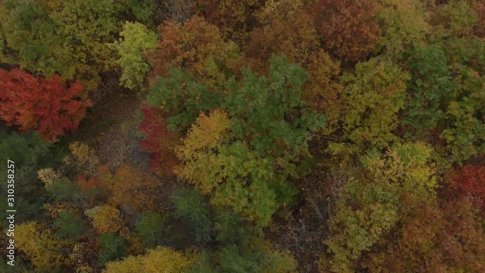 Drone flying while orienting camera downwards to show green and red bushes Drone flying while orienting camera downwards to show green and red bushes