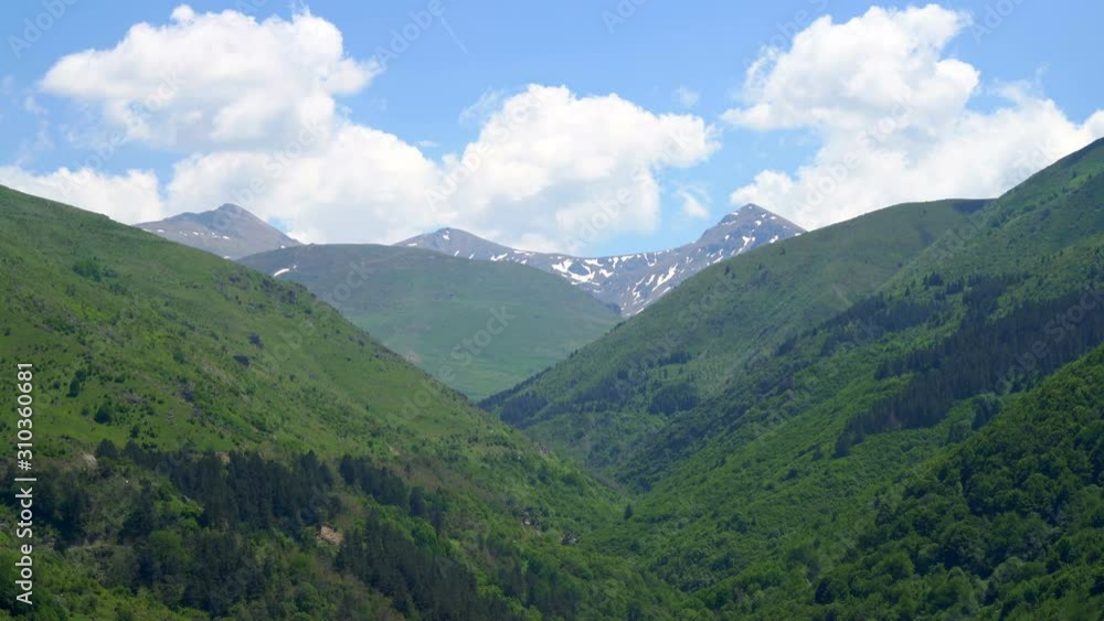 Green grass on mountain and meadow in Kosovo forests Green grass on mountain and meadow in Kosovo forests