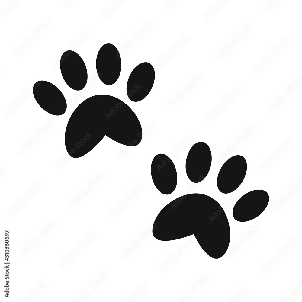 paw of cat or dog, paw of animal paw of cat or dog, paw of animal