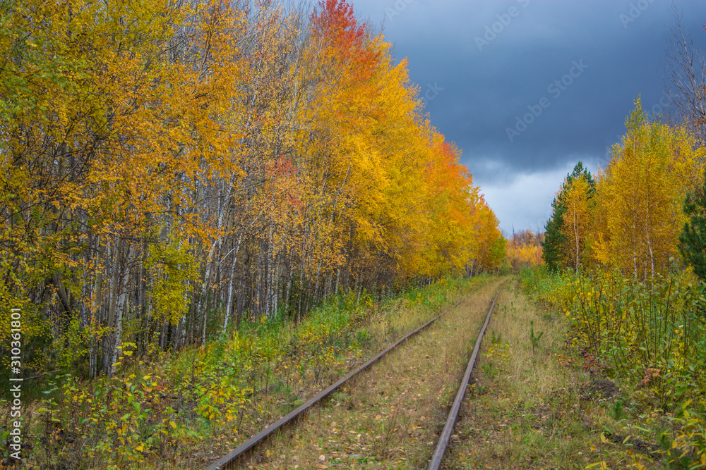 Old railway in the autumn forest. Rainy autumn weather. Overcast sky.