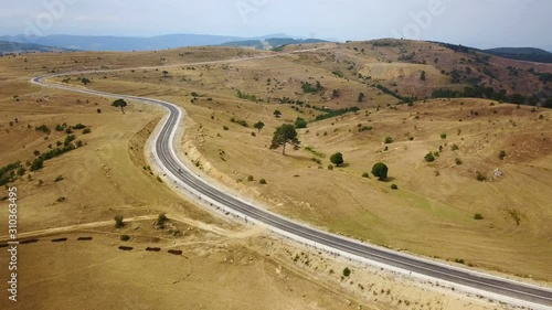 Motorbike rider riding in golden nature of steppe highway, Anatolia photo