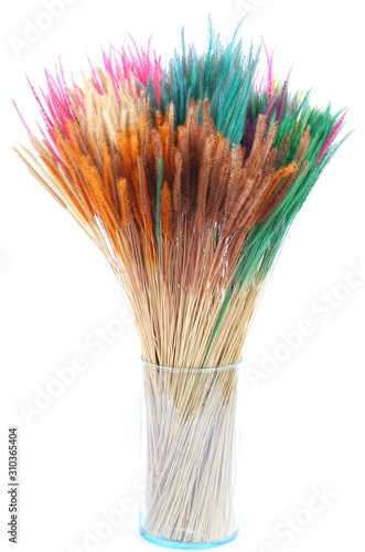 Colorful dry grass on white background