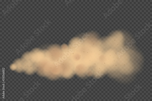 Road dust cloud with dirt or soil particles, brown color powder splash frozen motion 3d realistic vector illustration isolated on transparent background. City smog, dirty smoke texture. Air pollution