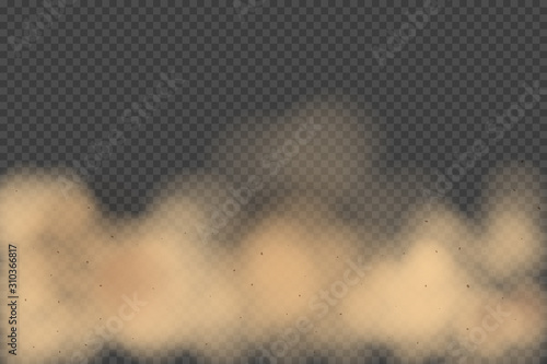 Road dust cloud with dirt or soil particles, brown color powder splash frozen motion 3d realistic vector illustration isolated on transparent background. City smog, dirty smoke texture. Air pollution