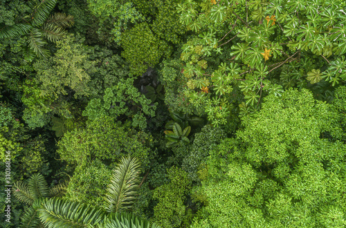 Lush mystical rainforest aerial drone view at La Fortuna Costa Rica jungle photo
