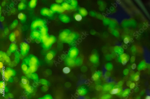 green bokeh light blurry of tree in the night park