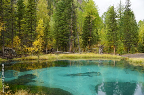 lake, water, forest, landscape, nature, autumn, river, sky, trees, tree, reflection, fall, blue, pond, green, summer, outdoors, clouds, mountain, view, wood, scenic, woods, panorama, golden