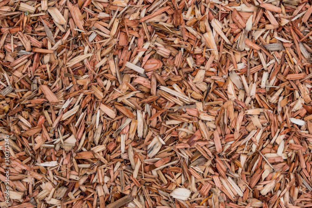 texture background of wet wood chips filled ground under the shade texture background of wet wood chips filled ground under the shade