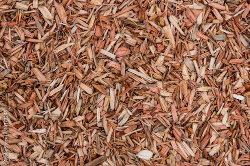texture background of wet wood chips filled ground under the shade