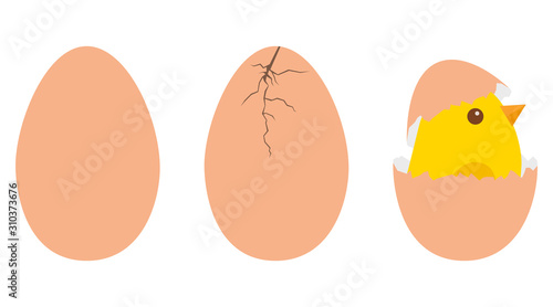 Egg. The step-by-step process of hatching a chicken from an egg. Egg with chicken. Vector illustration.