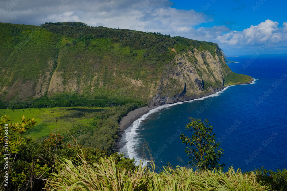 Lush Tropical Waipio Valley Beach on the Big Island of Hawaii Lush Tropical Waipio Valley Beach on the Big Island of Hawaii