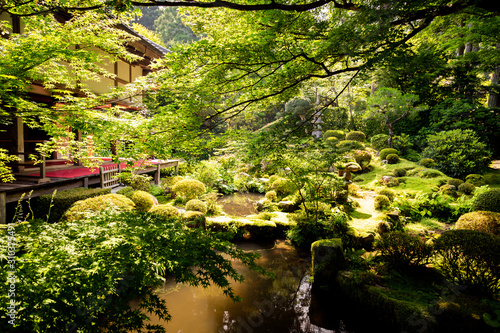 Japan, Ohara, moss temple 