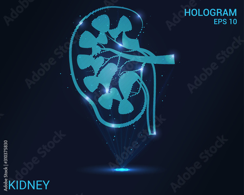 Hologram kidney. Holographic projection of human organs. Flickering energy flux of particles. Scientific medicine design.