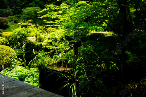 Japan  Ohara  moss temple