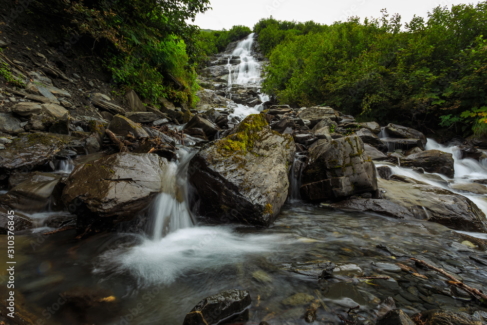 Fototapeta premium waterfall in forest
