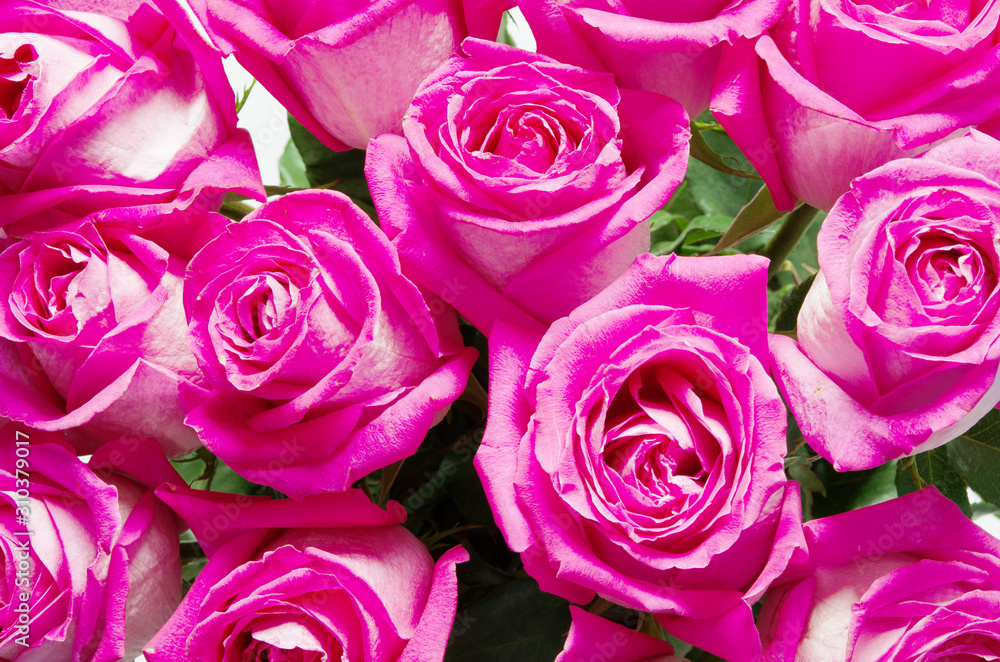 Natural pink roses background. - Image Natural pink roses background. - Image