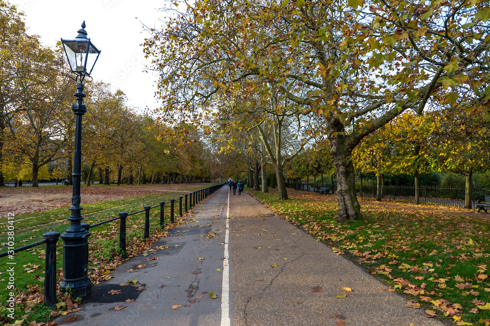 Autumn colors in Hyde Park