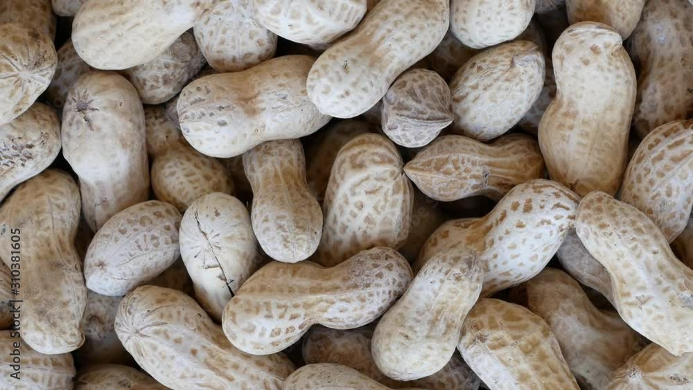 Peanuts are rich in protein, good fat, dietary fiber and have many health benefits, such as nourishing the heart, treating and preventing diabetes, fighting cancer or losing weight. Peanuts are rich in protein, good fat, dietary fiber and have many health benefits, such as nourishing the heart, treating and preventing diabetes, fighting cancer or losing weight.