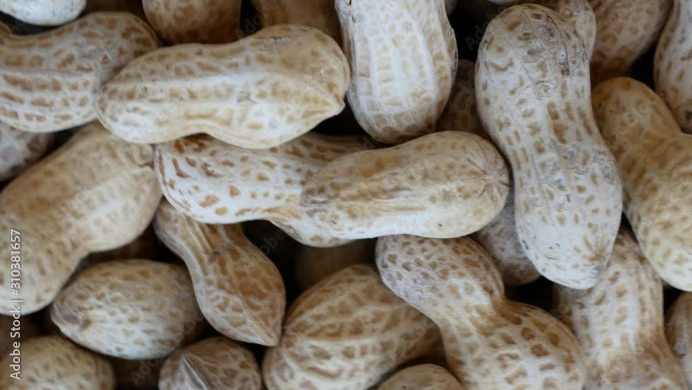 Peanuts are rich in protein, good fat, dietary fiber and have many health benefits, such as nourishing the heart, treating and preventing diabetes, fighting cancer or losing weight. Peanuts are rich in protein, good fat, dietary fiber and have many health benefits, such as nourishing the heart, treating and preventing diabetes, fighting cancer or losing weight.