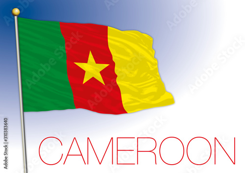 Cameroon official national flag, african country, vector illustration