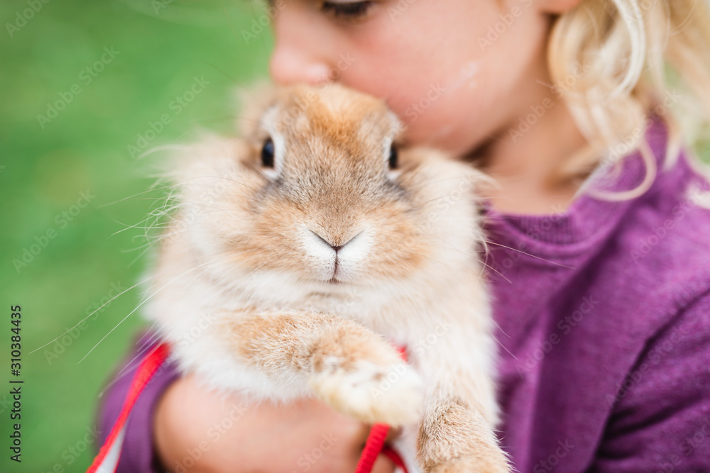 Girl with rabbit Girl with rabbit