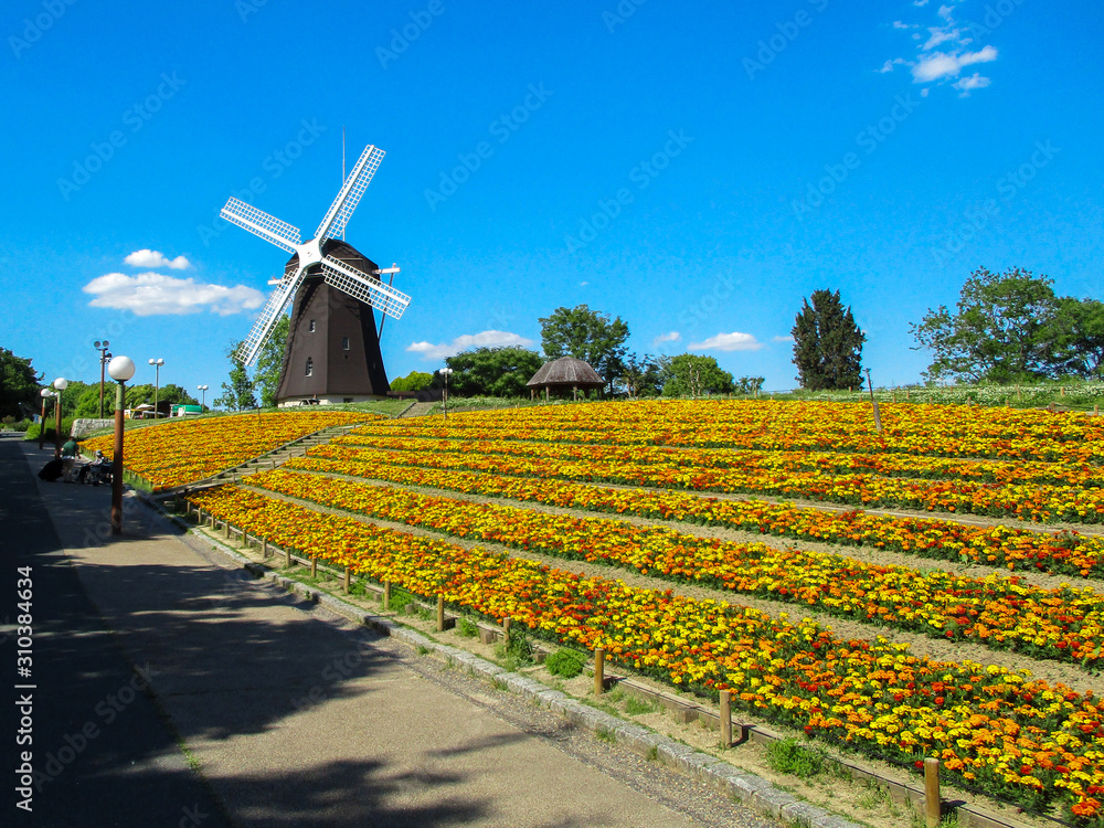 大阪 鶴見緑地の花畑と風車 Stock Photo Adobe Stock 大阪 鶴見緑地の花畑と風車 Stock Photo Adobe Stock