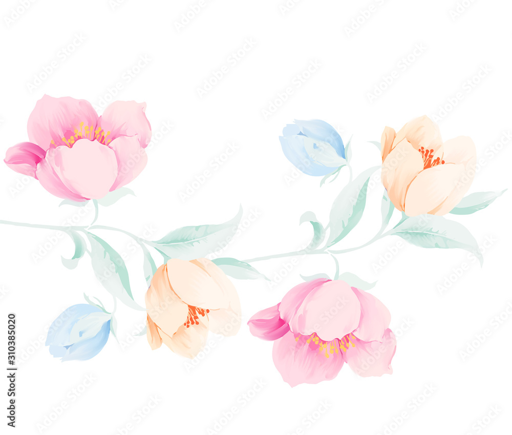 Elegant beautiful watercolor rose flower