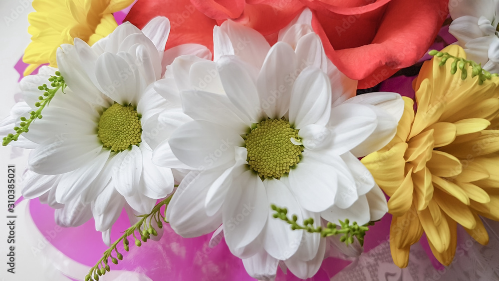 Bouquet of chrysanthemums and roses on a white background. Bouquet of chrysanthemums and roses on a white background.