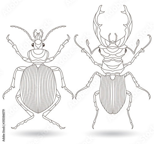 Set of contour illustrations of stained glass Windows with beetles, dark contours isolated on white background