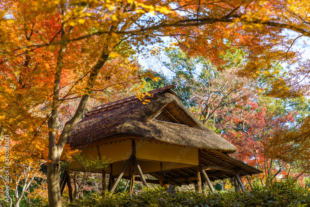六義園の四阿