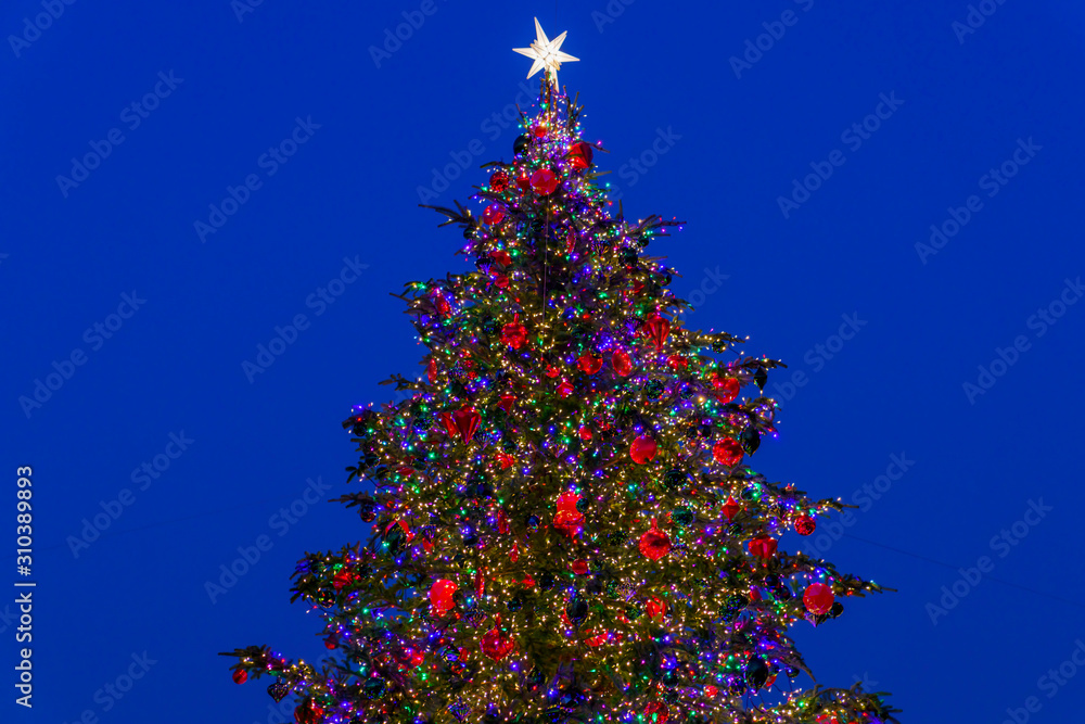 クリスマスツリー