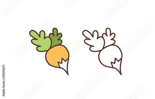 Raw turnip linear vector icon