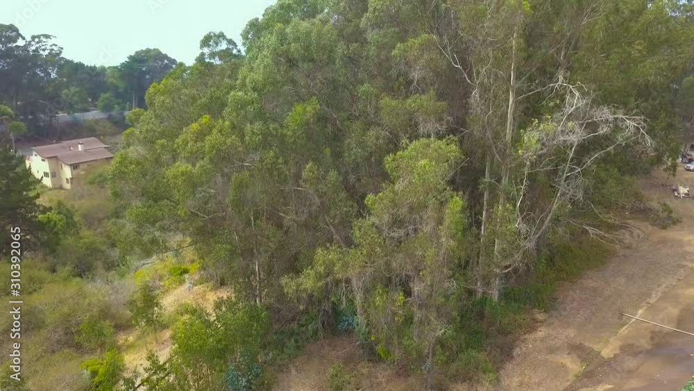 Ascending drone shot. Gradually goes over trees, shows houses. revealing the beach ocean in the background. Ascending drone shot. Gradually goes over trees, shows houses. revealing the beach ocean in the background.