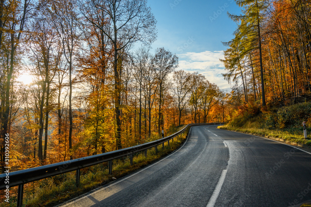 Obraz premium kurvige Herbststraße