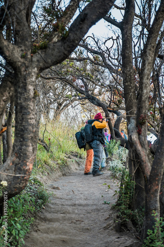 Bromo, Indonesia- August 3th, 2019 : Unidentified hikers tracking to Mount Pananjakan summit during beautiful morning at Bromo in Surabaya. (blurry soft focus noise visible due to high ISO)