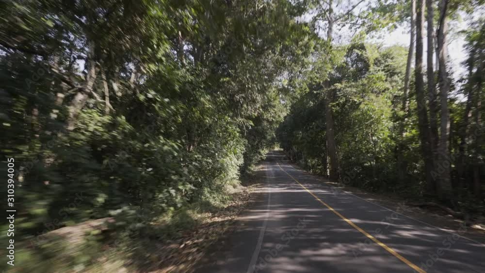 4k clip driver's view driving fast around a National Park among trees and forest on a road trip in Asia 4k clip driver's view driving fast around a National Park among trees and forest on a road trip in Asia