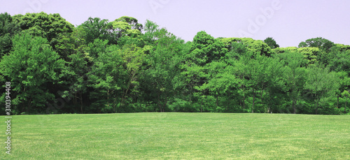 芝生 芝生広場 芝 芝公園 グリーン 新緑