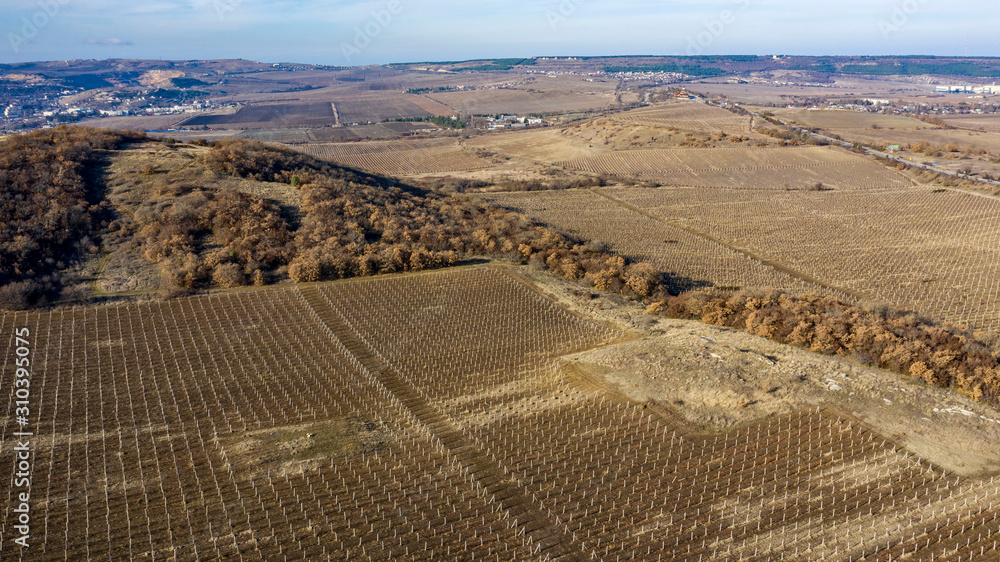 Naklejka premium Autumn, mountains, vineyards