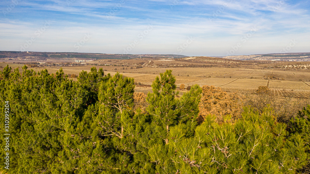 Fototapeta premium Autumn, mountains, vineyards