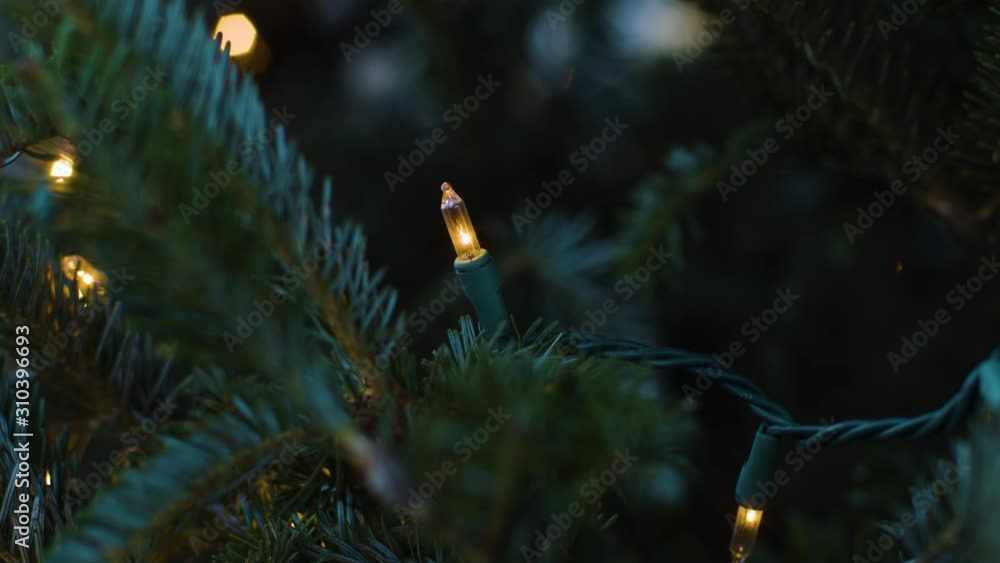 string lights on a Christmas tree sparkle and twinkle. string lights on a Christmas tree sparkle and twinkle.