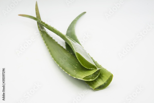 aloe vera leaves and glass of aloe vera 