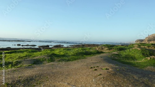 Wallpaper Mural Rocky mossy beach in morocco with waves crashing in the distance Torontodigital.ca