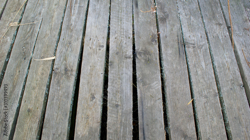 background of gray rotten old boards covered with moss and exposed to weather on a cloudy autumn day