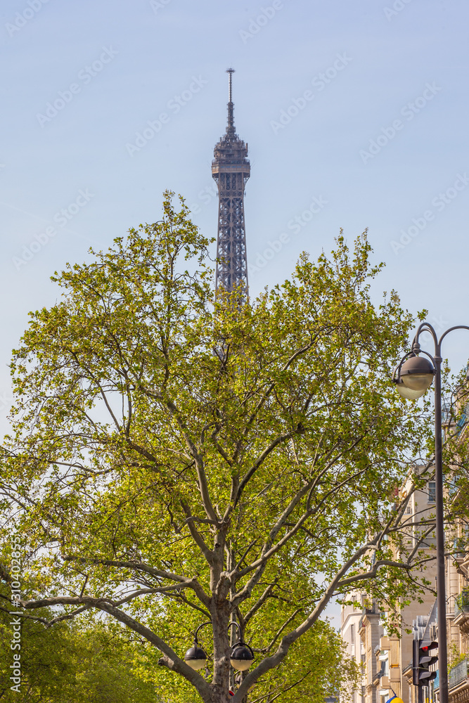 Fototapeta premium PARIS LA TOUR EIFFEL