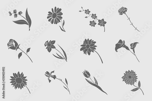 Flower Icons set - Vector solid silhouettes of rose, tulip, chamomile, carnation, iris, callai, orchid, narcissus, sunflower, chrysanthemum and astra for the site or interface