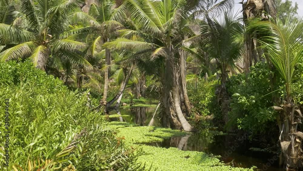 Pond on La Digue Island, Seychelles, surrounded by palm trees and granite rocks. Pond on La Digue Island, Seychelles, surrounded by palm trees and granite rocks.