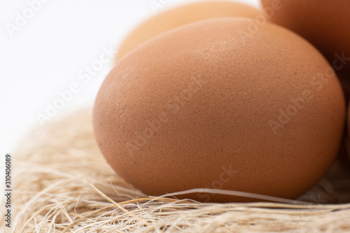 Egg on Nest With White Blackgound photo